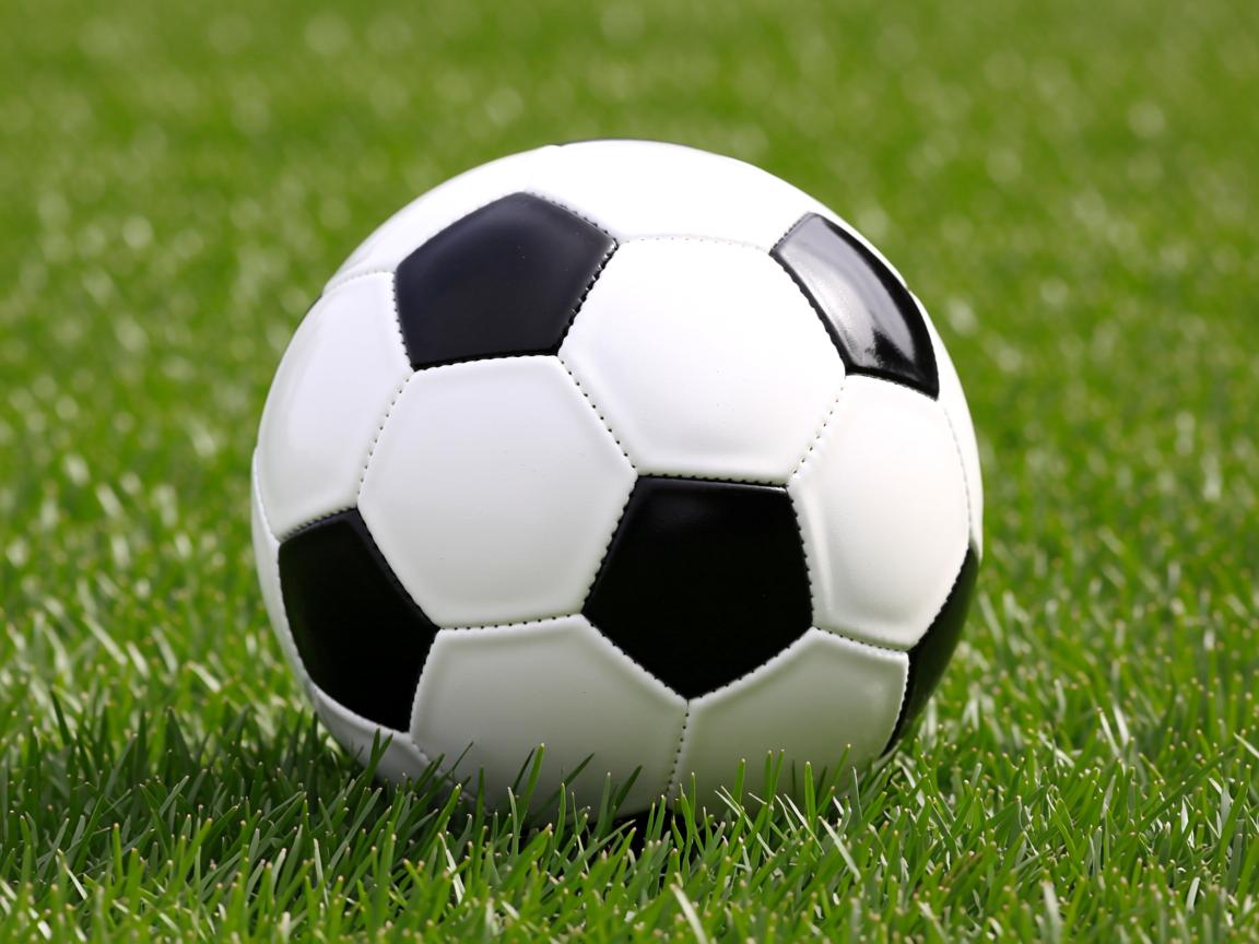 开云体育下载-中国队赢得团体赛冠军，再度卫冕，中国队冠军项目  第3张